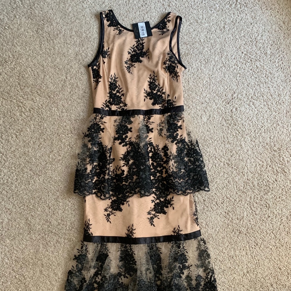 Forest Lily for Nordstrom Lace Cocktail Dress